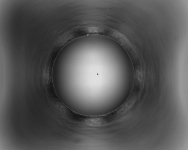X0000089420422200706151254