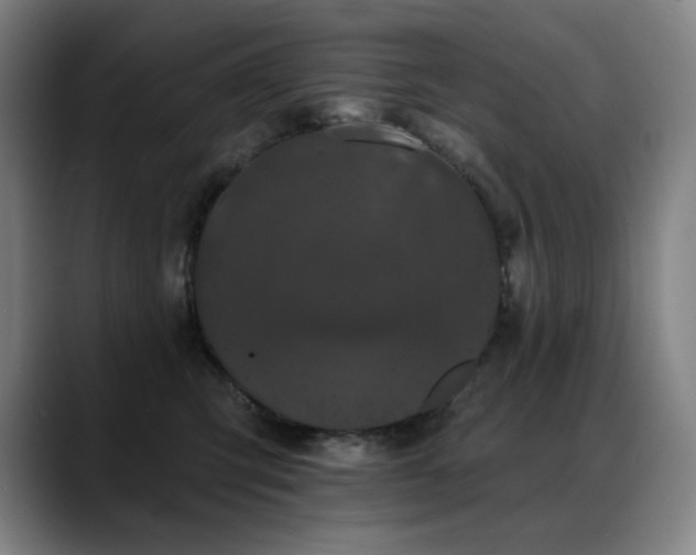X0000089420423200706151254