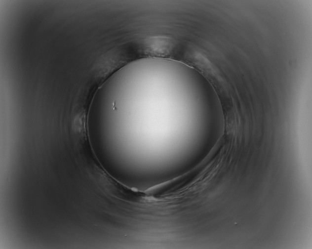 X0000089420425200706151254