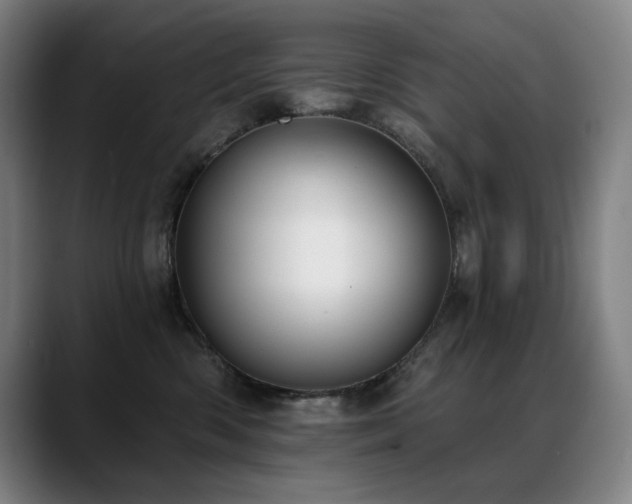 X0000089420426200706151254