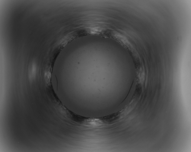 X0000089420427200706151254