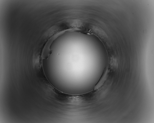 X0000089420428200706151254