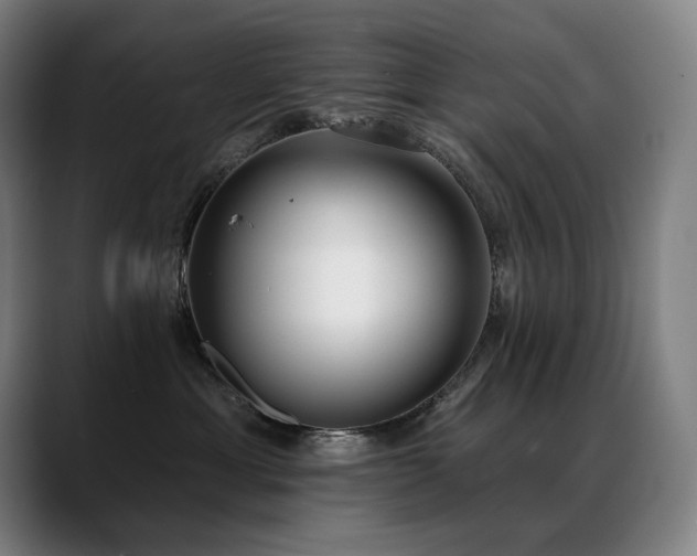 X0000089420429200706151254