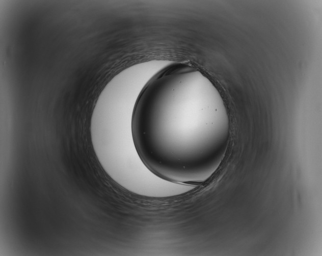 X0000089420432200706151254