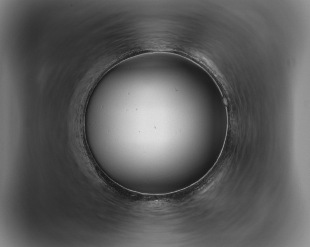 X0000089420433200706151253