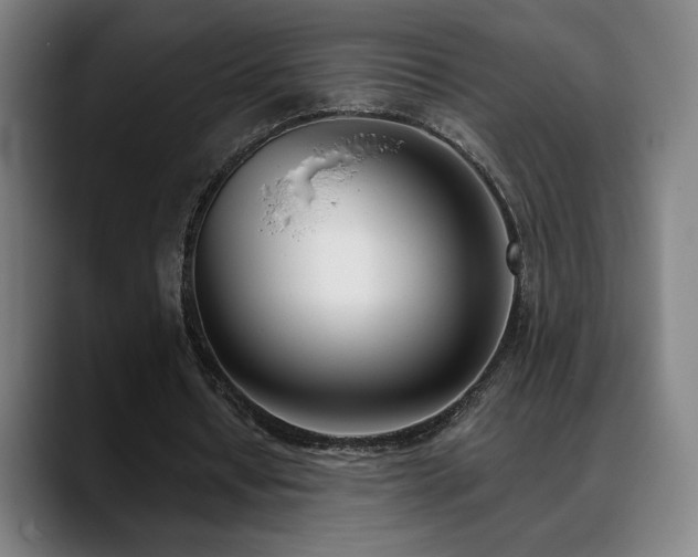 X0000089420434200706151253