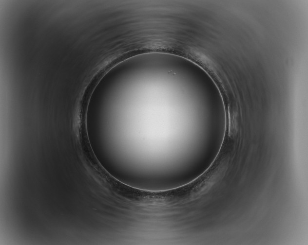 X0000089420435200706151253