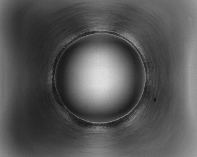 X0000089420437200706151253