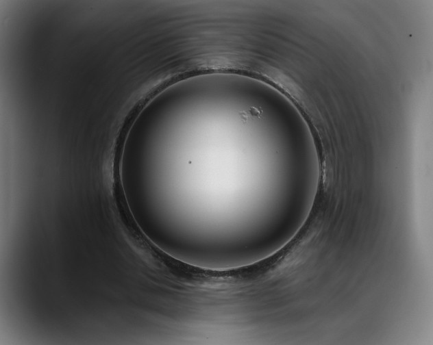 X0000089420438200706151253