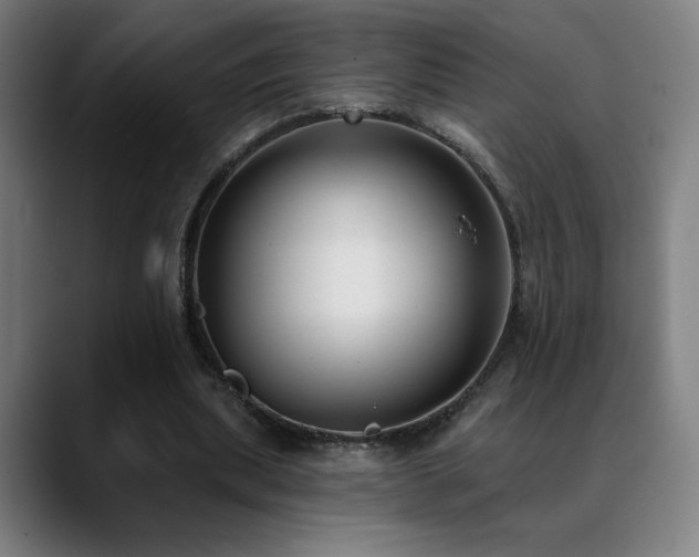 X0000089420439200706151253
