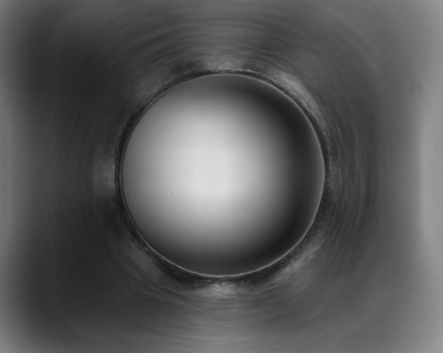 X0000089420441200706151253