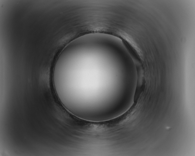 X0000089420442200706151253