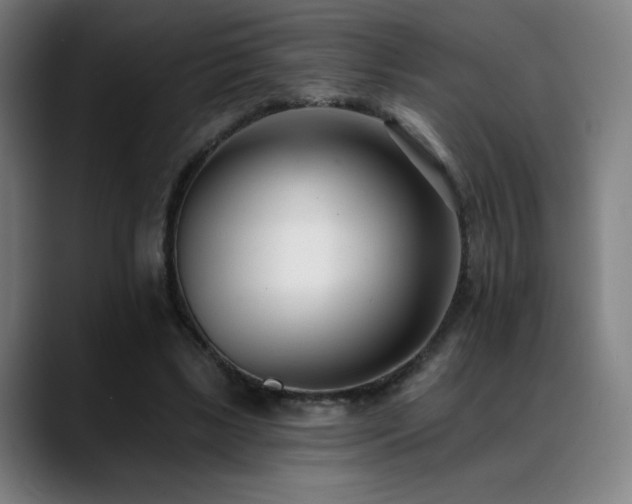 X0000089420443200706151253