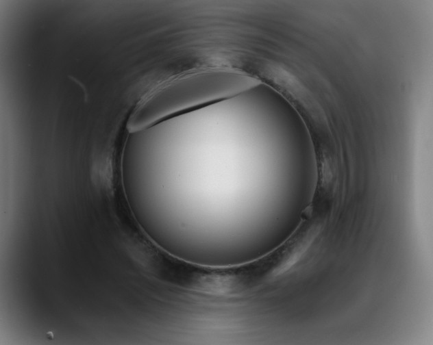 X0000089420444200706151253