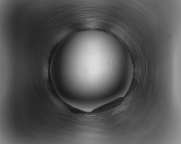 X0000089420446200706151253