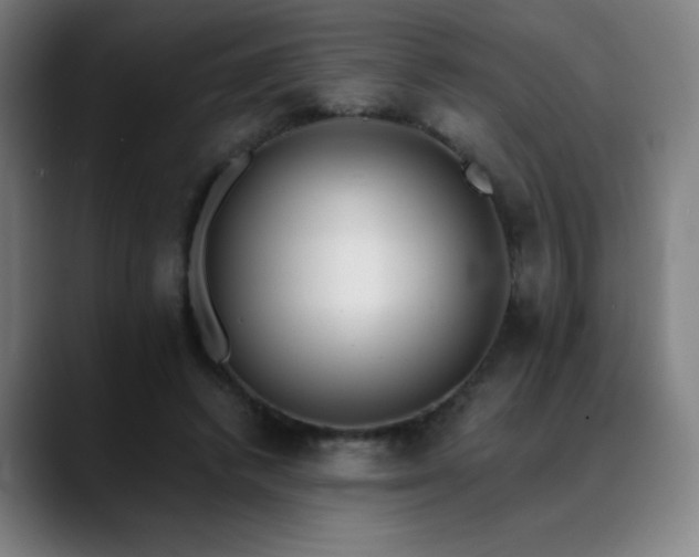 X0000089420448200706151253
