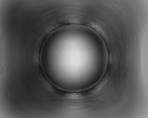 X0000089420449200706151253