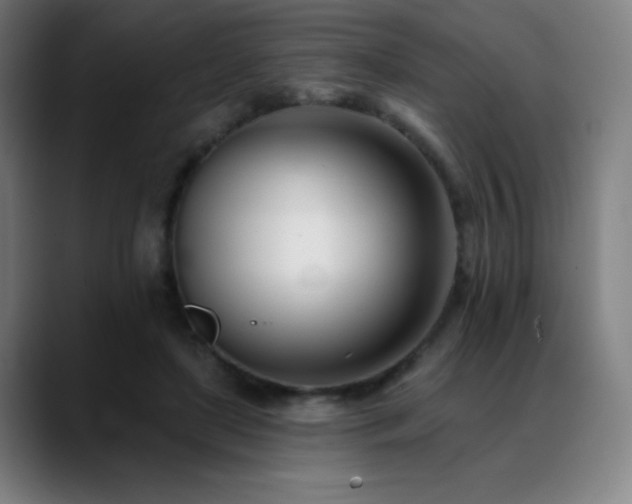 X0000089420451200706151253