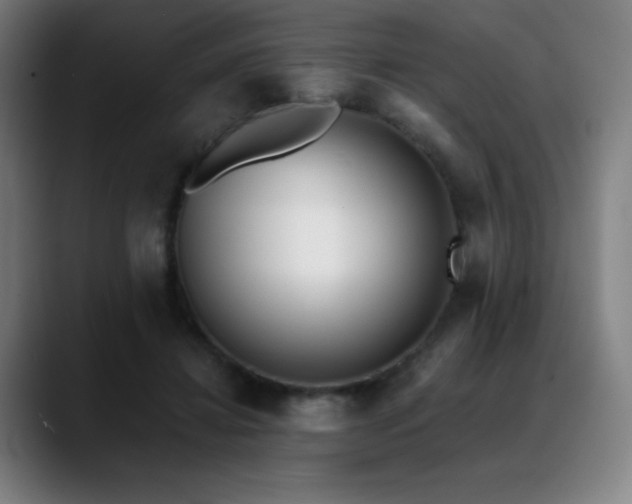 X0000089420452200706151253