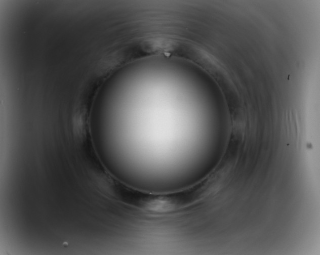 X0000089420460200706151254
