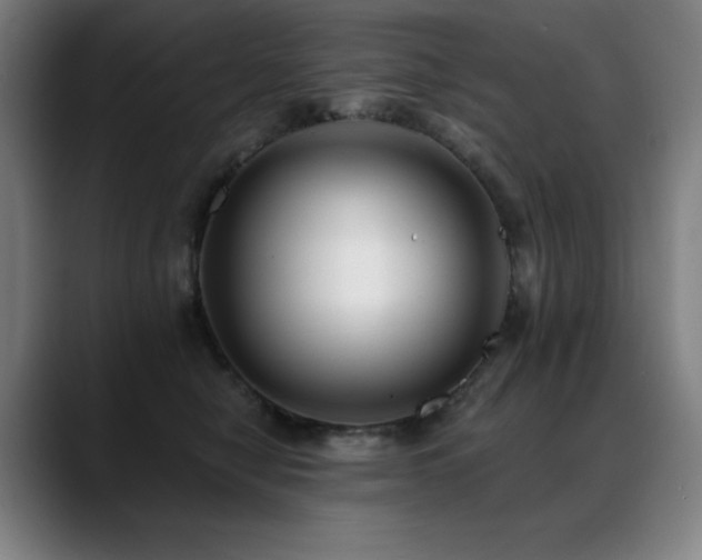 X0000089420470200706151254