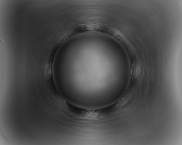 X0000089420471200706151254