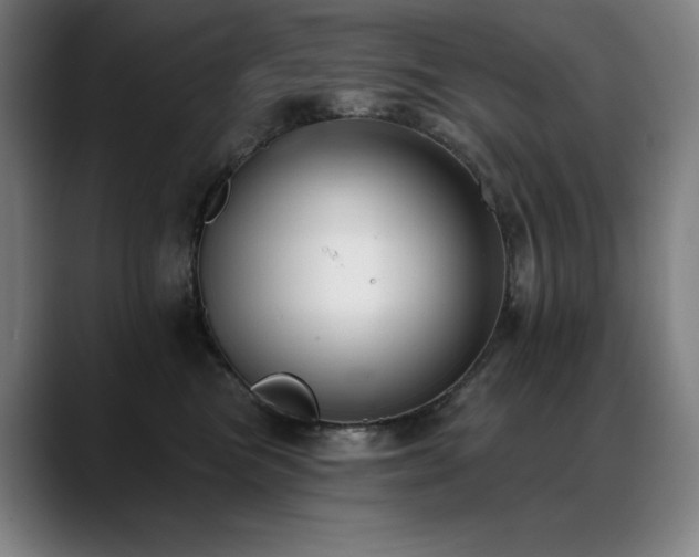 X0000089420473200706151254