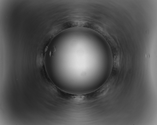 X0000089420474200706151254