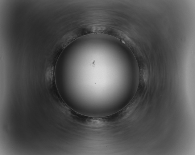 X0000089420475200706151254