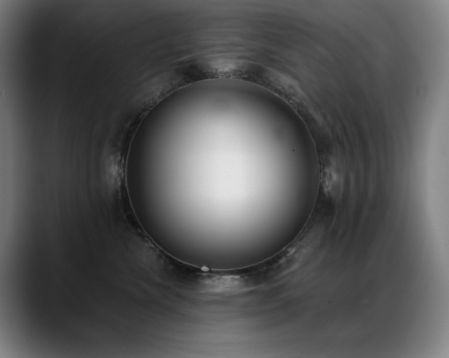 X0000089420476200706151254