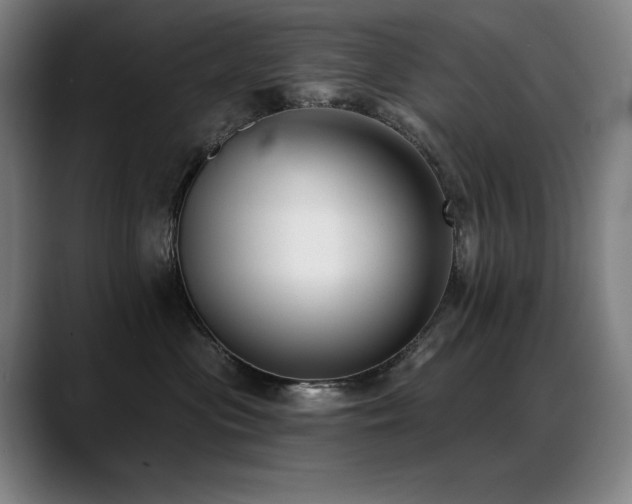 X0000089420477200706151254