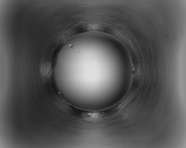 X0000089420478200706151254