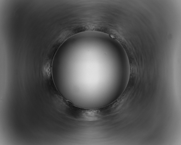 X0000089420479200706151254