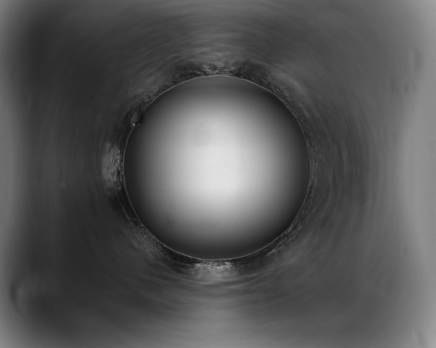 X0000089420480200706151254
