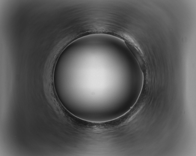 X0000089420481200706151253
