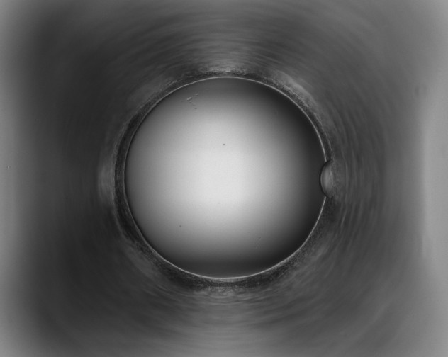 X0000089420482200706151253