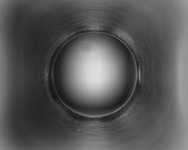 X0000089420483200706151253