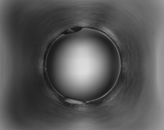 X0000089420485200706151253
