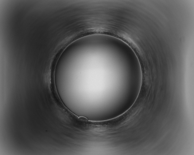 X0000089420486200706151253