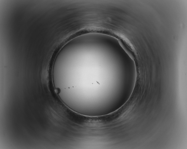 X0000089420487200706151253
