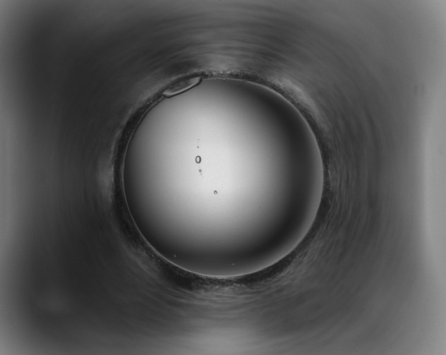 X0000089420488200706151253