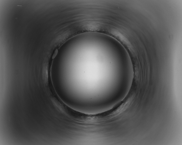 X0000089420493200706151253