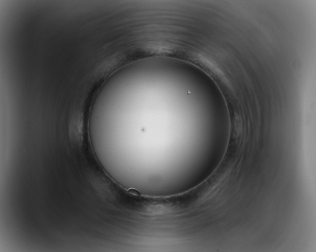 X0000089420494200706151253