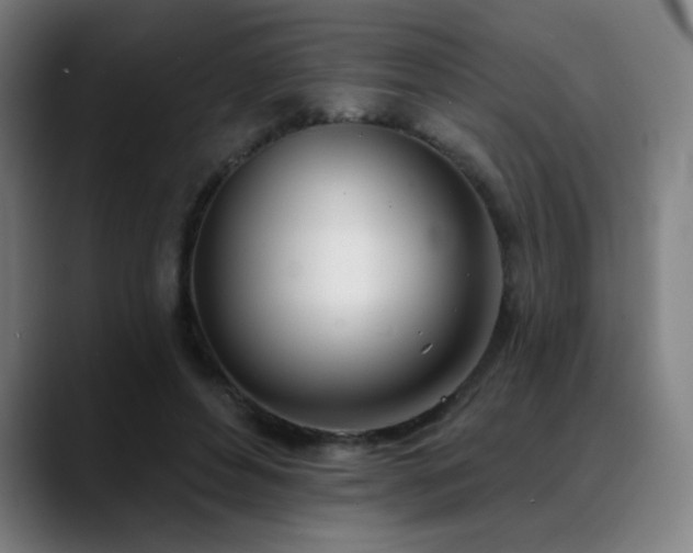 X0000089420496200706151253