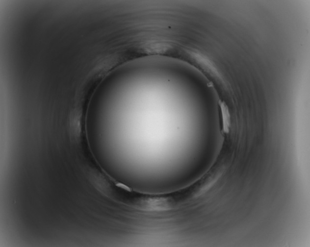X0000089420501200706151253