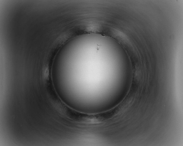 X0000089420502200706151253