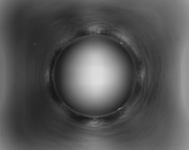 X0000089420504200706151253