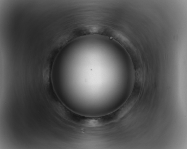 X0000089420509200706151253