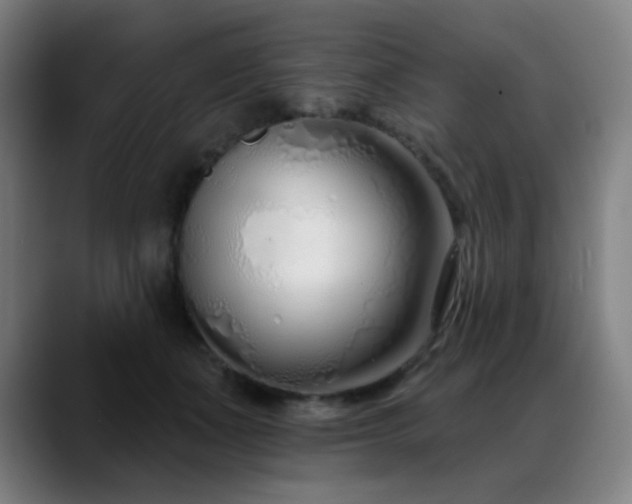 X0000089420511200706151253