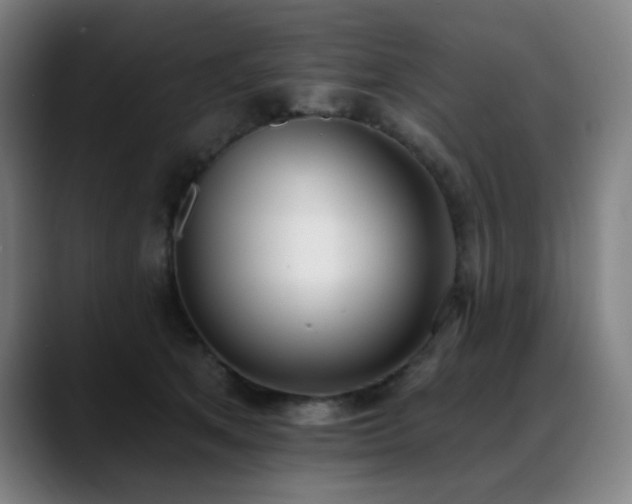 X0000089420513200706151253